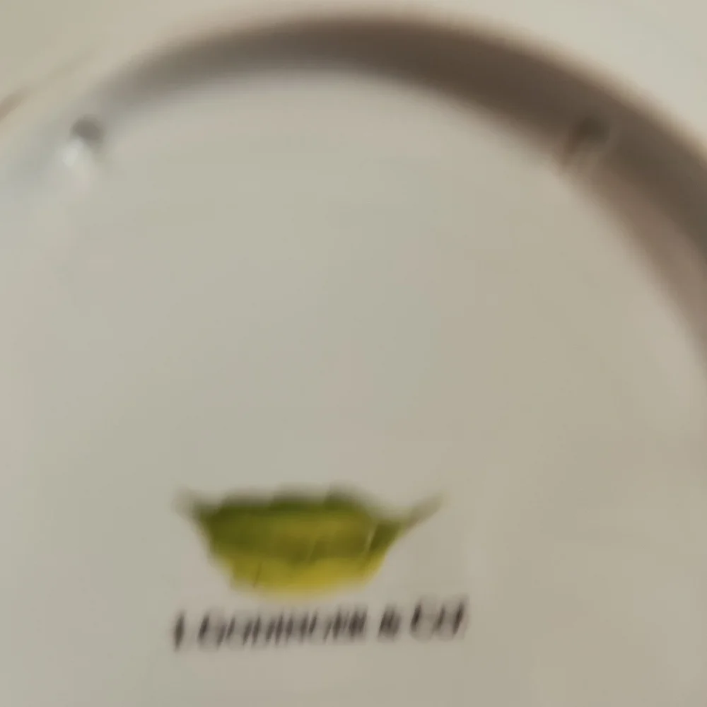 I. Godinger & Co. Decorative White and Green Porcelain Plate